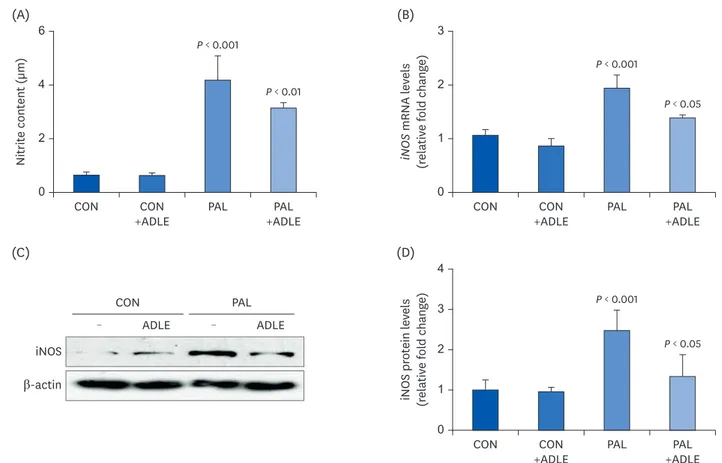 Fig. 7. ADLE treatment reduces palmitate-induced iNOS expression and nitrite in INS-1 cells