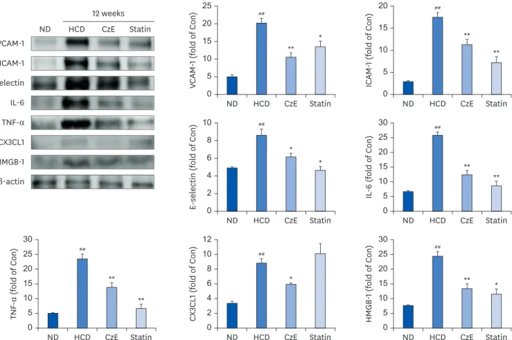 Fig. 4.  Effect of CzE on adhesion molecules and inflammatory mediators in the aortas of ApoE −/−  mice