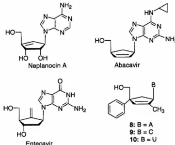 Fig.  1  - Structures  of  olefinic  carbocyclic  nucleosides  and  target  nucleosides.
