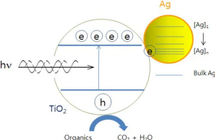 Figure 7. Enhanced photocatalytic activity of Ag nanometal-deposited  TiO 2  (Ag-TiO 2 ) due to the efficient separation of electron-hole pairs.