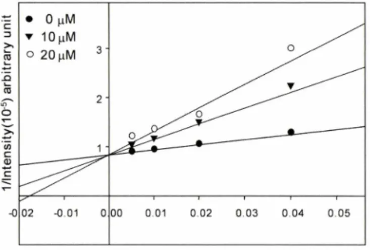 Fig.  5 - Double-reciprocal plots of Akt activities in the presence of  varying  concentrations  of  ATP  and  SWU-20009