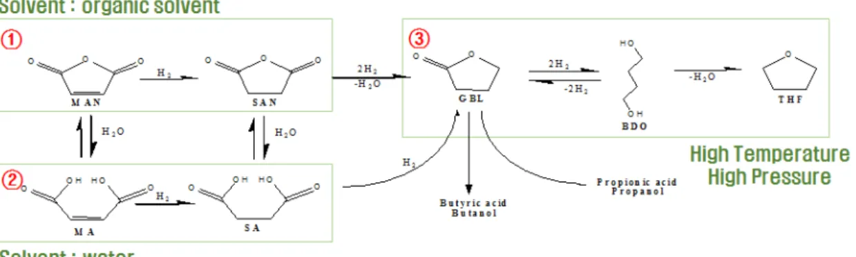 Figure 1. Reaction mechanism of maleic acid for solvent. 의 지지체에 담지하여 제조된 촉매를 사용하여 기상(수소)과 액상(말 레인산)의 수소화 반응으로 대량생산되고 있다
