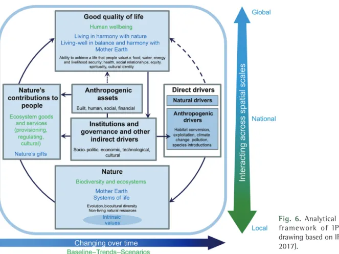 Fig.  6.  Analytical conceptual 