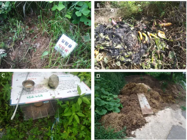 Fig. 1.  Typical types of habitats of P. tenebrifer 