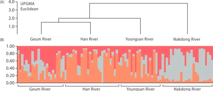 Fig. 6. Results for population clustering by Nei’s genetic distance and Bayesian clustering algorithms: (A) UPGMA (Euclidean)  tree of genetic distance among black-spotted pond frogs in four river basins, (B) Population genetic structure obtained by  Bayes