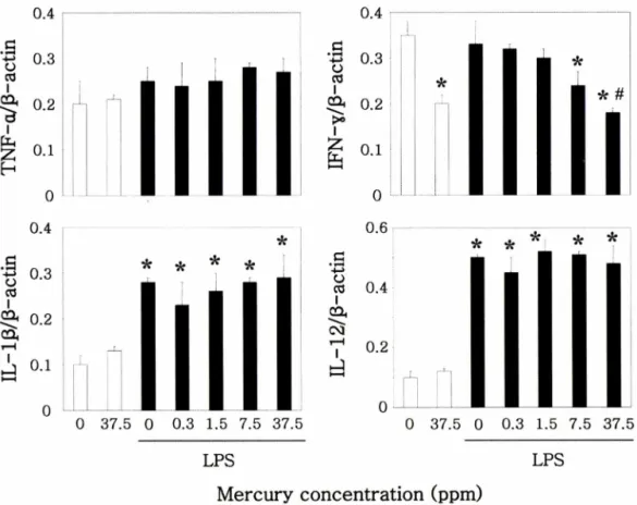 Table  II - Effects  of  oral  exposure  to  mercury  on  thymus  lymphocyte  population Mercury  in 