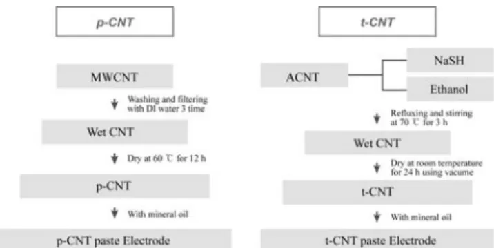 Figure 1. Diagram indicating the preparation of p-CNT and t-CNT  electrodes.자체가 상당히 고가이며, 전처리 시간이 상당히 길다는 단점이 있어서  지속적으로 사용하는 것에 문제가 있다
