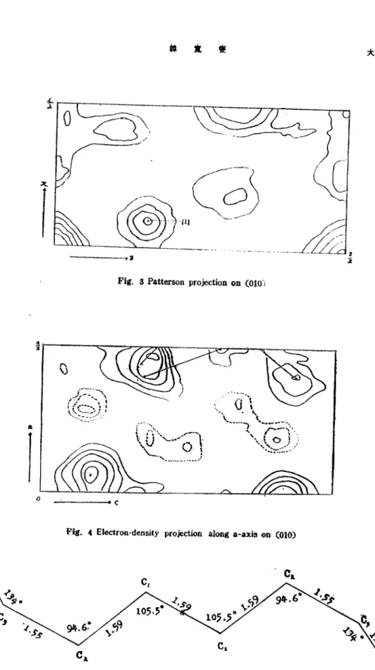 Fig, 4 Electron-density projection along a-axis on (010)