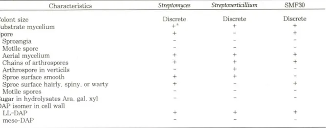 Table  I ―  Comparison of diagnostic characteristics among Sreptomyces, streptoverticillium,  and isolate SMF 30 
