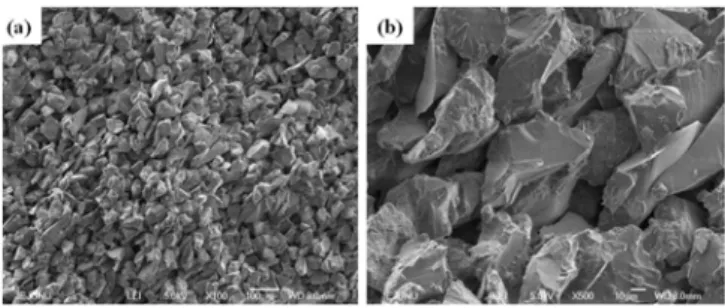 Figure 2. Scanning electron microscope images of the porous ceramic  membrane. (a) 100 magnification and (b) 500 magnification.