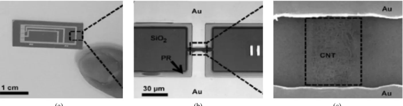 Figure 1. CNT-FET devices. (a) CNT-FET Nano platform (NR), (b) gold patterned on the CNT-FET device, and (c) carbon nanotubes placed  between gold patterned electrode[4].