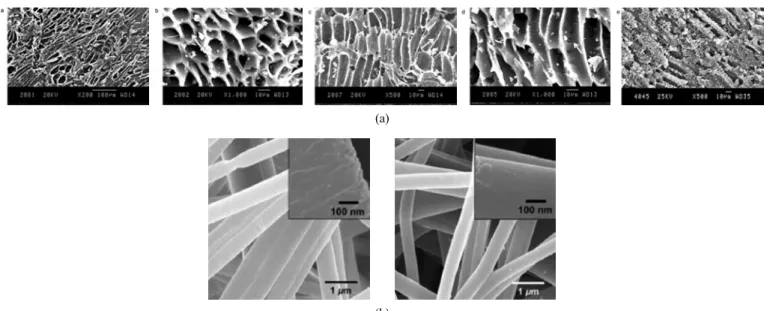 Figure 5. Granular activated carbon and activated carbon fiber. (a) granular activated carbon and (b) activated carbon fiber.