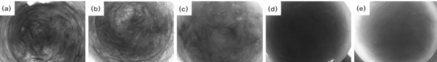 Figure 2. Dispersion states of chopped carbon fibers in dispersion solutions with different surfactants; (a) Sodium dodecyl sulfate, (b) Triton X-100,  (c) Tween 60, (d) Tween 85, and (e) Span 80.