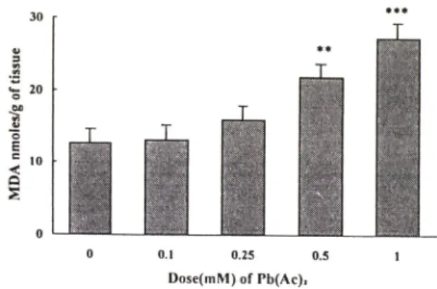 Fig.  1 ―   Effect of lead  acetate  on  the hepatic  lipid  perox­