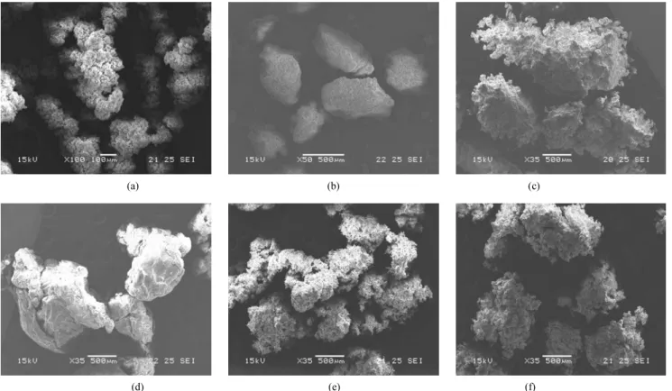 Figure 4. SEM images of polyethylene particles obtained with Cp 2 ZrCl 2  catalyst; (a) homogeneous Cp 2 ZrCl 2 , (b) 30B-MMT/Cp 2 ZrCl 2 ,  (c) 30B-MMT/MAO/Cp 2 ZrCl 2 , (d) 30B-MMT/(Cp 2 ZrCl 2 +MAO), (e) Na + -MMT/Cp 2 ZrCl 2 , and (f) Na + -MMT/MAO/Cp 