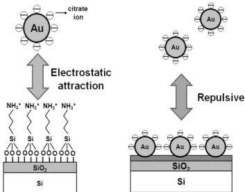 Figure 1. Molecule design for SAMs and SAMs formation.