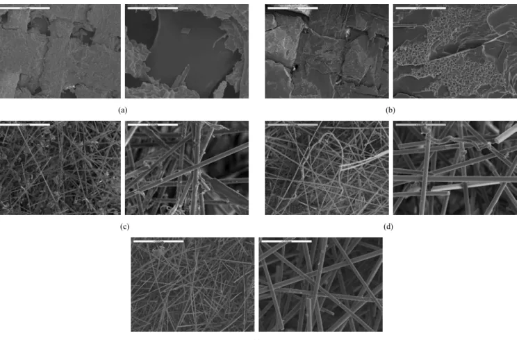 Figure 7. SEM photographs of glass fibers from WPCBs dissolution using the NMP and K 3 PO 4  solution at 180  ℃; (a) NMP, 2 h, (b) K 3 PO 4 /NMP,  2 h, (c) water/K 3 PO 4  = 45 and NMP, 4 h, (d) water/K 3 PO 4  = 45 and NMP, 12 h, and (e) water/K 3 PO 4  =
