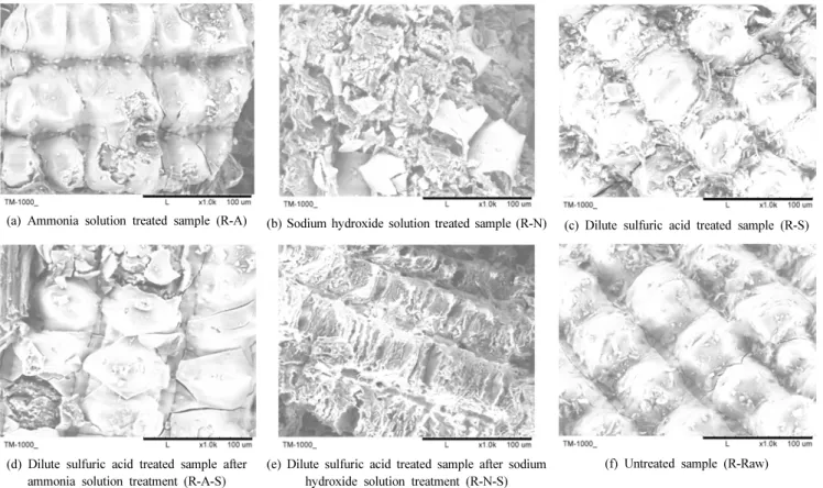 Figure 4. Scanning electron micrographs of outer epidermis of rice hull samples (× 1000).