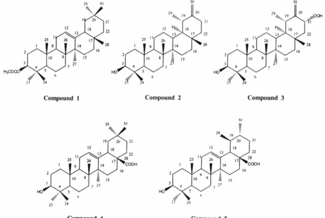 Fig.  1 - The  Structures  of Compounds  1~5  from  Youngia japonica