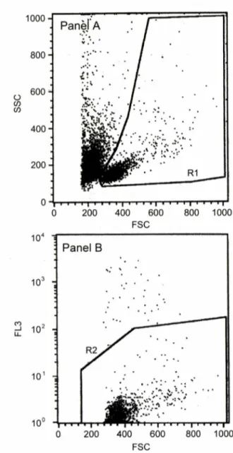 Fig.  1 - Representative dot plots showing the gate 1 (R l in Panel A)  and gate 2  (R2 in Panel B) set for lymphocytes and viable  cells,  respectively