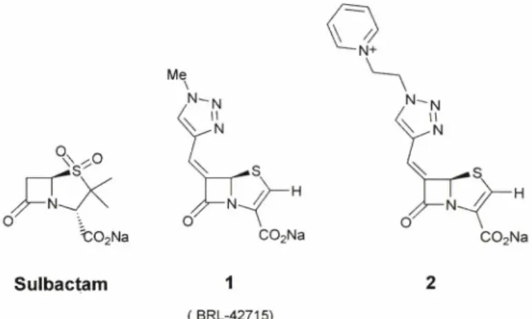 Fig.  1  - Structure  of  p-Lactamase  Inhibitors.