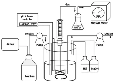 Figure 1. Schematic diagram of a continuous reactor.