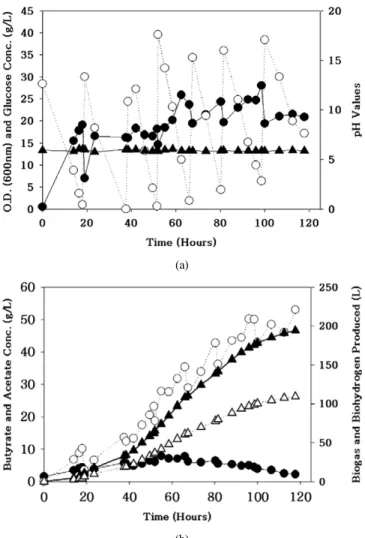 Figure 3. Volatile fatty acid production from the fed batch operation  with  C. tyrobutyricum