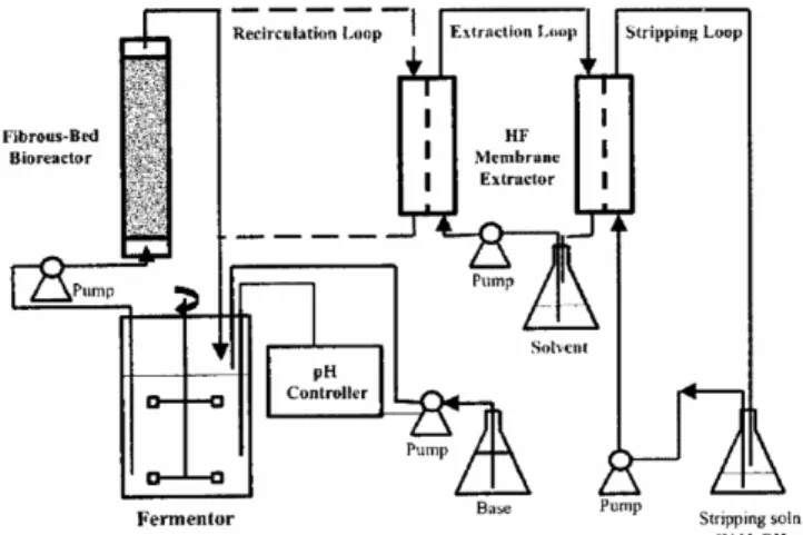 Figure 5. A fermentation and pertraction process using immobilized  cells and hollow-fiber membrane extractors.