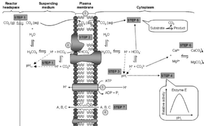 Figure 2. Measured and predicted pH of pure water-CO 2  simulation  system at pressure up to 34 MPa at 32  ℃ (Reprinted with permission  from [20]).