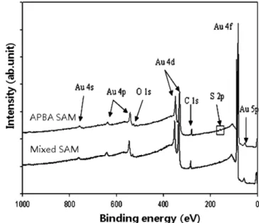Figure 1. FT-IR spectrum of APBA compound.