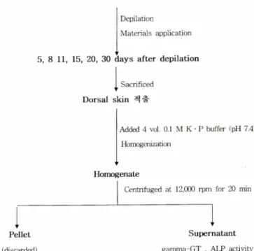 Fig.  1 - Process  of  hair  growth  activity  assay.