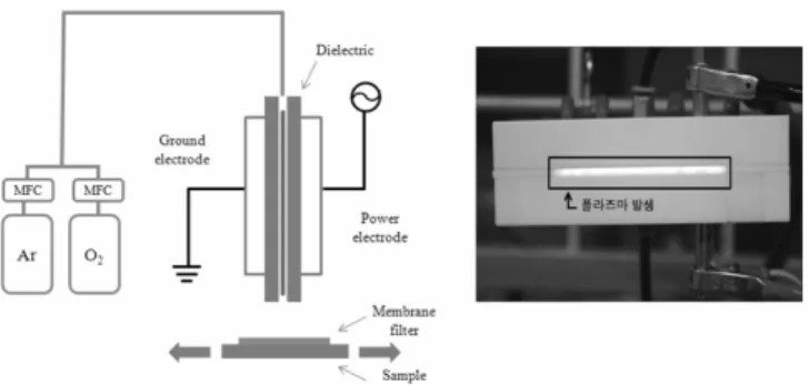 Figure 2. Measured waveforms of applied voltage and induced current. 
