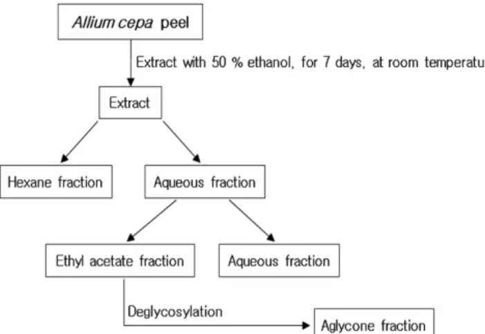 Figure 1. Scheme for preparation of extract/fractions obtained from  Allium cepa peel.