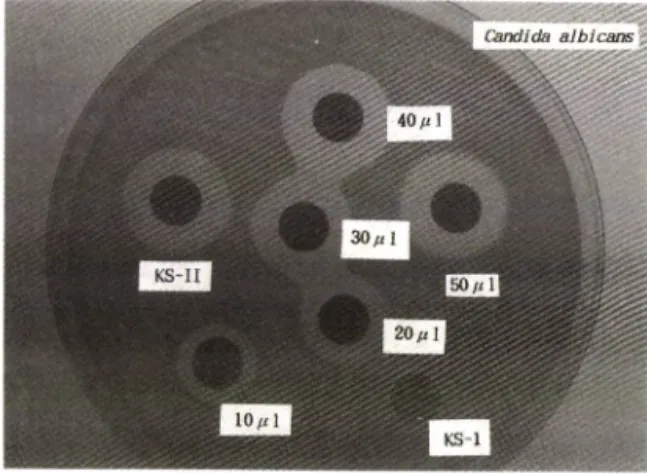Table  I I ~Effect  of  pH  on  the  antimicrobial  activity  of  strain  B-6  in  acyl  CoA  synthetase  in­