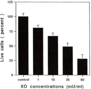 Fig.  2 — Time-response  relationship  of xanthine  oxidase  (XO)/hypoxanthin  (HX)  in cultured spinal  dor­
