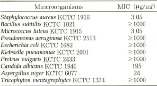 Fig.  1 — Inhibition  zone  of 0.45%  Manuka  oil  ointment  against  Staphylococcus aureus.
