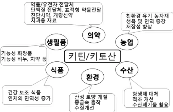 Figure 1. Application field of chitosan.
