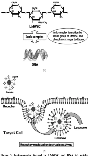 Figure 2. TEM (a) and AFM (b) morphologies of LMWSC dervatives  [18].