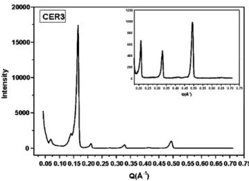 Figure 4. Schematic representation of lamellar crystalline phases based  on the DSPC/CER3 when complexed with GLY