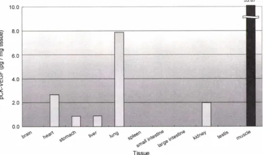 Fig.  6 - The tissue distribution of pCK-VEGE Tissue distribution of pCK-VEGF was analyzed at 90 min postinjection