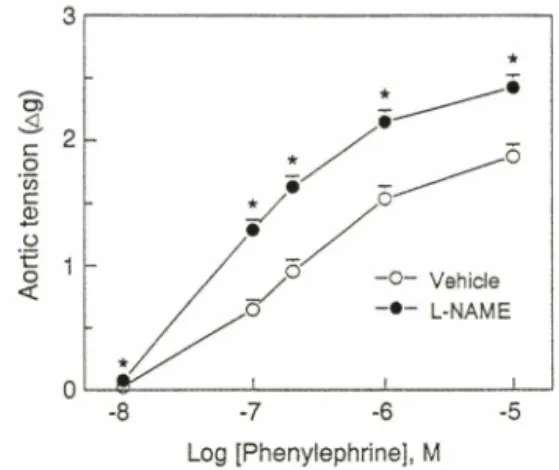 Fig.  5 - Effects of KC1 (25 mM)  on the isolated thoracic  aortic ring segments from the rats treated with  L-NAME  (50  mg/kg,  n=20)  or vehicle  (n=12)  for 21 days