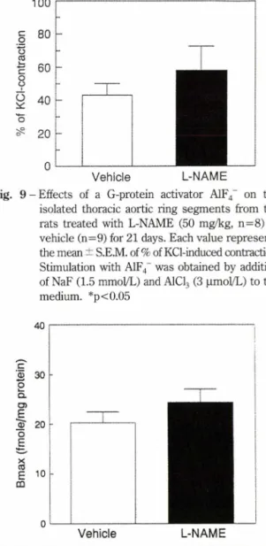 Fig.  8  - Effects  of  a  G  protein  activator  A1F4'   on  the  isolated thoracic aortic ring segments from, the  rats treated with  L-NAME  (50 mg/kg, n=8)  or  vehicle (n=9) for 21 days