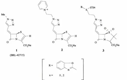 Fig.  1 - Structures  of  P-lactamase  inhibitors.