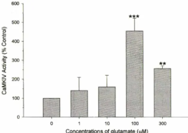 Fig.  2 - Time-course  of  Glu-induced  activity  changes  in  CaMK  IV  Cortical  neurons  at  8-10  days  after  plating were treated with 100 [iM Glu and 10 jjM  glycine  in  the  presence  ( ◦ )   or absence  ( • )   of 20  jjM  MK-801  for  the  indic