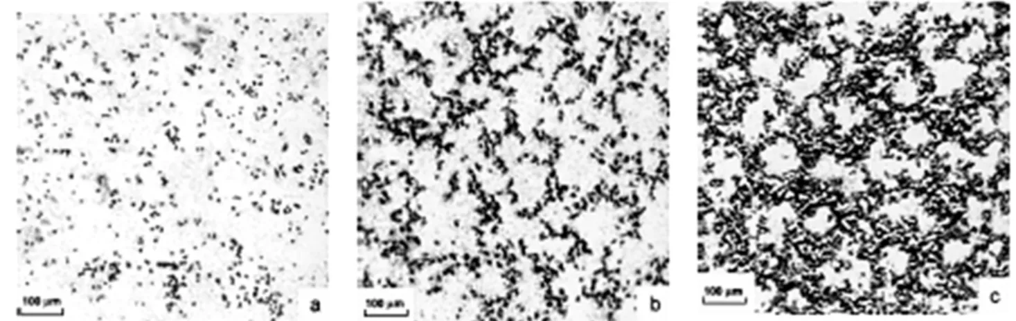 Figure 8. Structure of segregated composite PVC-Ni by optical microscopy[53]; (a)  Φ  <  Φ c , (b)  Φ  ≋  Φ c  (c)  Φ  >  Φ c 
