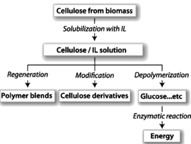 Figure 8. Application of cellulosed-based materials as energy sources. 아있는  상태이다.   2002 년 미국 알라바마대학 Robin D