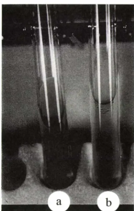 Fig. 1 - The bile juice of expanded proximal bile duct from  a  rat  in  op-4  group  and  OpDW-4  group,  a:  bile  juice from a rat in Op-4 group, b: bile juice from  a  rat  in  OpDW-4  group
