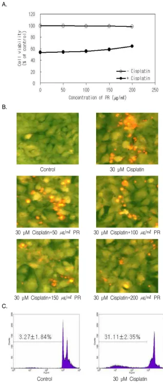 Fig. 1. Effects of cisplatin on cytotoxicity in rat mesangial cells. The cells were treated with various concentration of cisplatin for 24 h