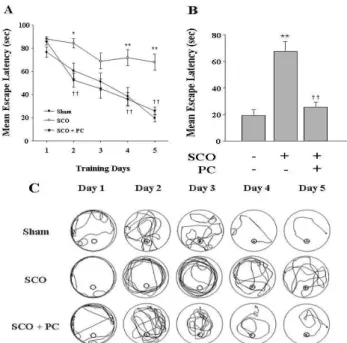 Fig. 2. Protective effect of Poria cocos on the memory impairment caused by scopolamine in SD rats as measured by Y-maze test