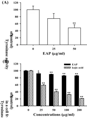 Fig. 4. Effect of EAP on the tyrosinase, TRP-1, and TRP-2 protein expressions in B16F10 cells